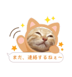 こむぎの変顔【修正版】（個別スタンプ：4）