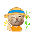 こむぎの変顔【修正版】（個別スタンプ：8）