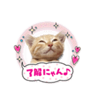 こむぎの変顔【修正版】（個別スタンプ：19）