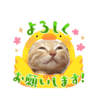 こむぎの変顔【修正版】（個別スタンプ：20）