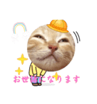 こむぎの変顔【修正版】（個別スタンプ：21）
