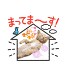 こむぎの変顔【修正版】（個別スタンプ：26）