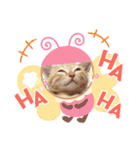 こむぎの変顔【修正版】（個別スタンプ：32）