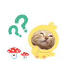 こむぎの変顔【修正版】（個別スタンプ：33）