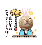 こむぎの変顔【修正版】（個別スタンプ：39）
