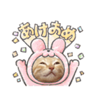 こむぎの変顔【修正版】（個別スタンプ：40）