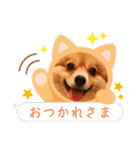 ポメチワ れもんちゃん 6 rev.1（個別スタンプ：1）