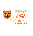 ポメチワ れもんちゃん 6 rev.1（個別スタンプ：6）