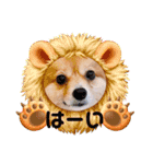 ポメチワ れもんちゃん 6 rev.1（個別スタンプ：11）