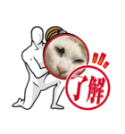 ねこシェアスタンプ（個別スタンプ：5）