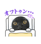 ねこシェアスタンプ（個別スタンプ：10）