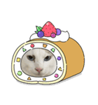 ねこシェアスタンプ（個別スタンプ：15）