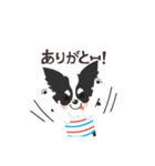 ナブラチワワ（個別スタンプ：2）