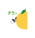 ナブラチワワ（個別スタンプ：3）
