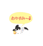 ナブラチワワ（個別スタンプ：5）