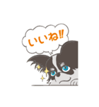 ナブラチワワ（個別スタンプ：10）