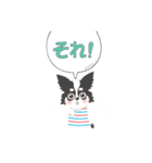ナブラチワワ（個別スタンプ：12）