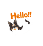 ナブラチワワ（個別スタンプ：13）