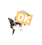 ナブラチワワ（個別スタンプ：15）