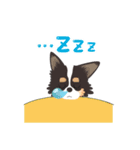 ナブラチワワ（個別スタンプ：20）