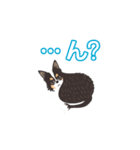 ナブラチワワ（個別スタンプ：22）