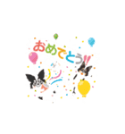 ナブラチワワ（個別スタンプ：29）