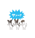 ナブラチワワ（個別スタンプ：31）