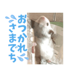 はぴおとあんぬ（個別スタンプ：3）