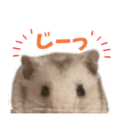 はぴおとあんぬ（個別スタンプ：4）