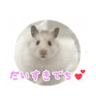 はぴおとあんぬ（個別スタンプ：5）