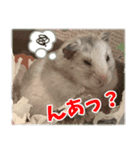 はぴおとあんぬ（個別スタンプ：7）