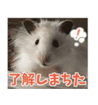 はぴおとあんぬ（個別スタンプ：8）