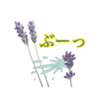 夏のラベンダー（個別スタンプ：18）