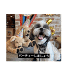 とらまるとししまるの動物字幕スタンプ（個別スタンプ：3）