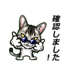 エジプシャンマウみたいな猫～☆敬語（個別スタンプ：11）