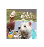 夏の季節coco（個別スタンプ：12）