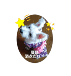 夏の季節coco（個別スタンプ：13）