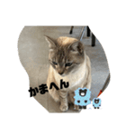 のりお＆あさり関西弁（個別スタンプ：1）