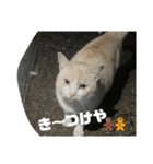 のりお＆あさり関西弁（個別スタンプ：7）