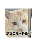 のりお＆あさり関西弁（個別スタンプ：10）