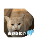 のりお＆あさり関西弁（個別スタンプ：16）