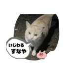 のりお＆あさり関西弁（個別スタンプ：18）