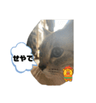 のりお＆あさり関西弁（個別スタンプ：21）