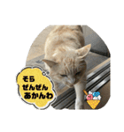 のりお＆あさり関西弁（個別スタンプ：22）