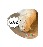 のりお＆あさり関西弁（個別スタンプ：26）