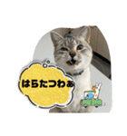 のりお＆あさり関西弁（個別スタンプ：30）