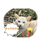 のりお＆あさり関西弁（個別スタンプ：31）