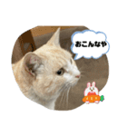 のりお＆あさり関西弁（個別スタンプ：33）