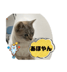 のりお＆あさり関西弁（個別スタンプ：39）