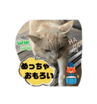 のりお＆あさり関西弁（個別スタンプ：40）
